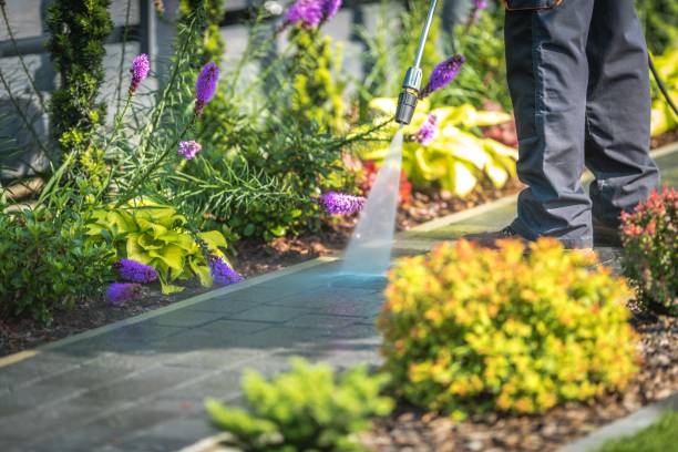 Professional Pressure Washing Services in South Whittier, CA